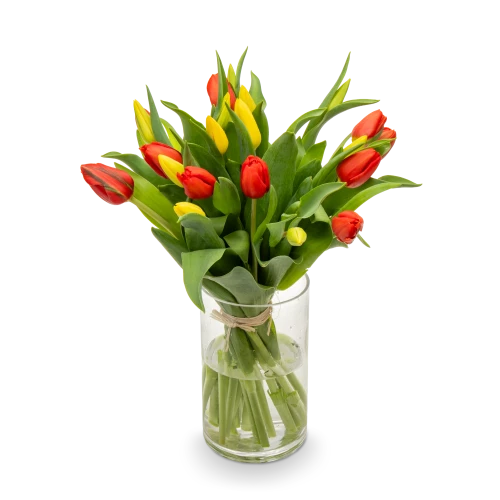 Kytice tulipánů